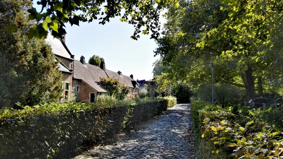 groene energie in Leuven
